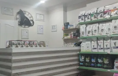 Best Pet Veteriner Kliniği