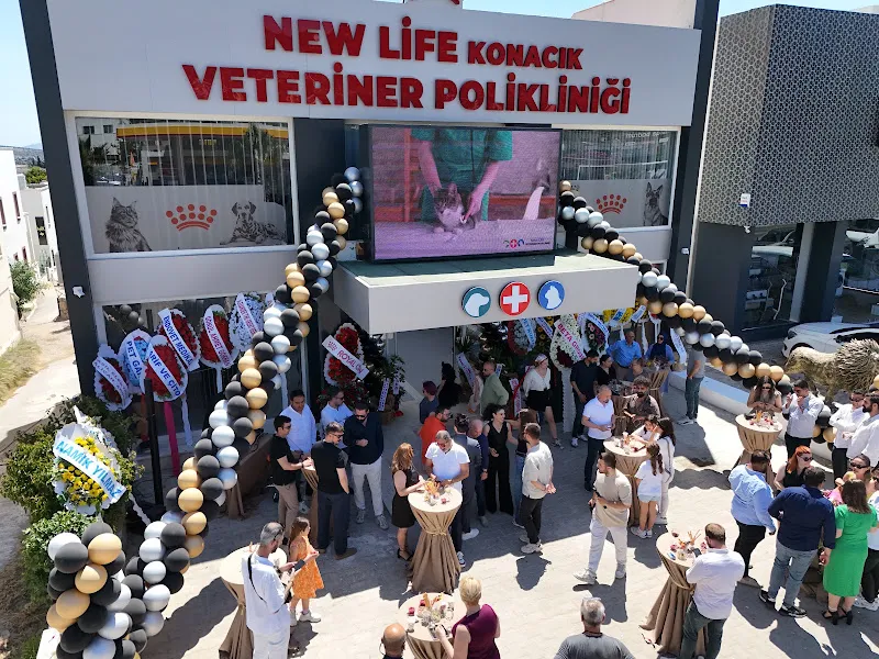 Bodrum Veteriner New life Konacık Veteriner Polikliniği foto 2