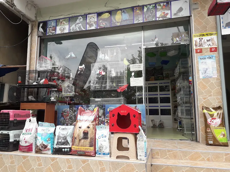İSTASYON PET SHOP foto 1