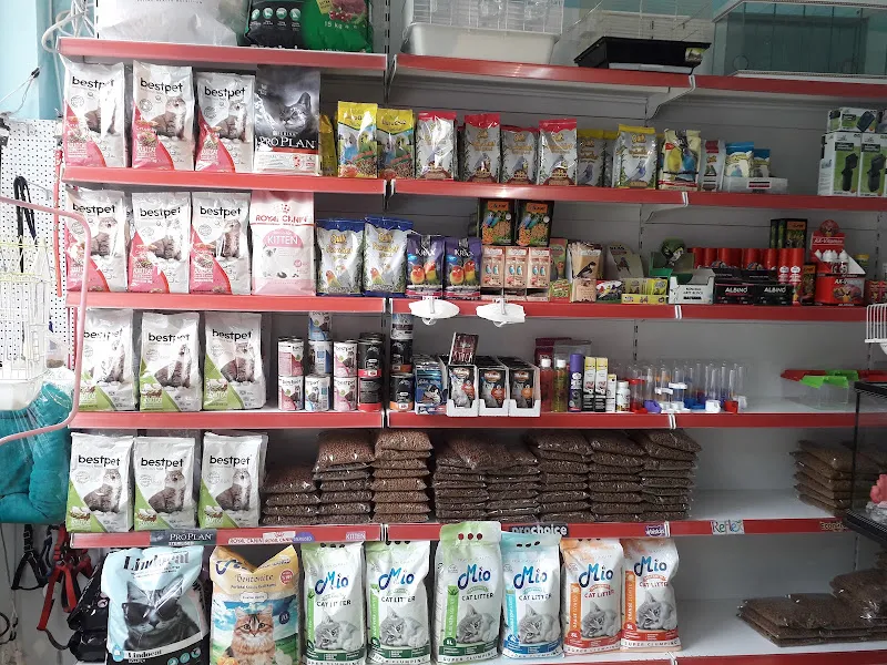 İSTASYON PET SHOP foto 2