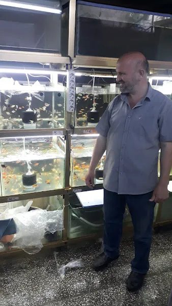 Baykuş Akvaryum foto 2