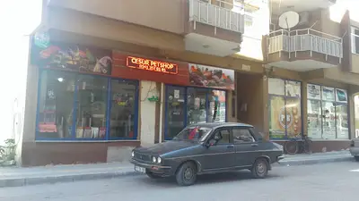 Cesur Petshop 7/24 HİZMET Osmancık/ÇORUM