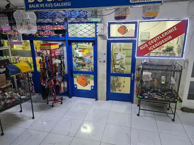Doğan Akvaryum