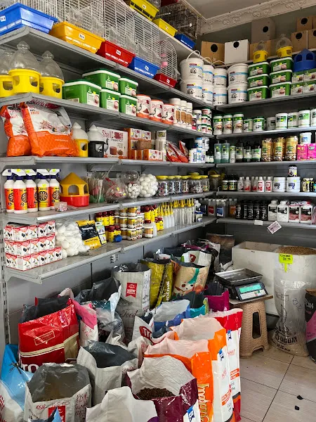 Çakır Akvaryum & Petshop foto 2