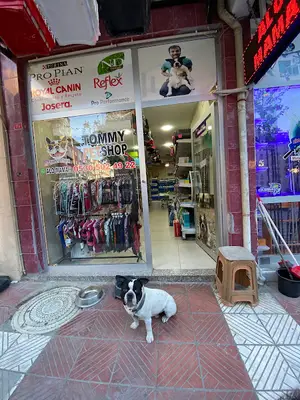 Tommy Petshop