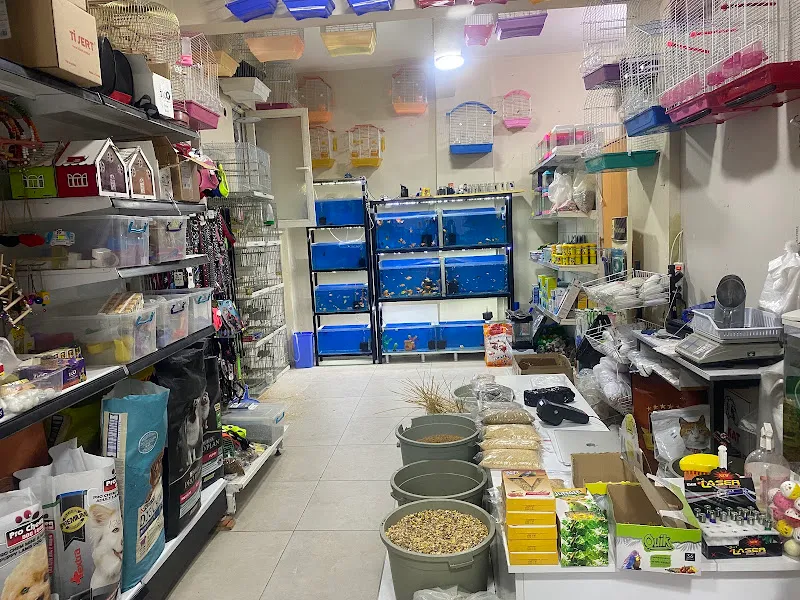 Tommy Petshop foto 2