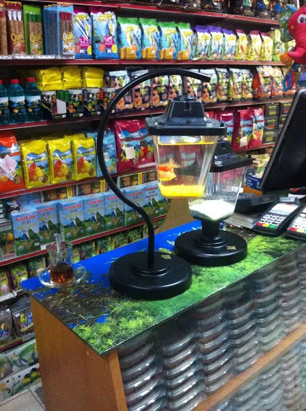 Beylikdüzü Esenyurt pet shop foto 2