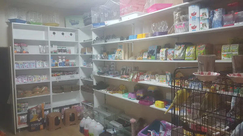 Pati petshop Evcil Hayvan Ürünleri foto 2