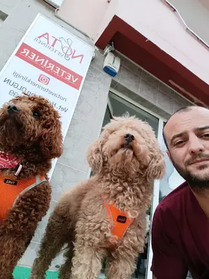 Düzce Nota Veteriner Kliniği