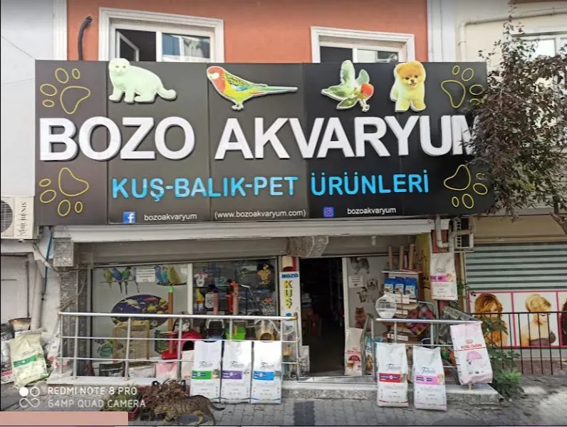 Bozo Petshop foto 1