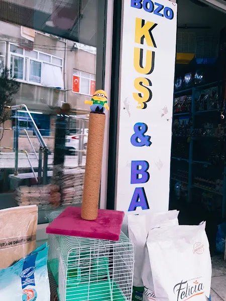 Bozo Petshop foto 2