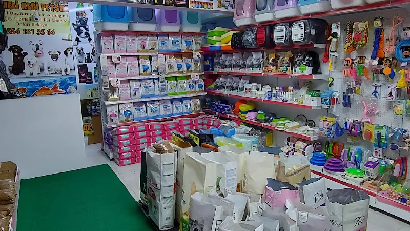 Çizmeli Kedi Petshop foto 1