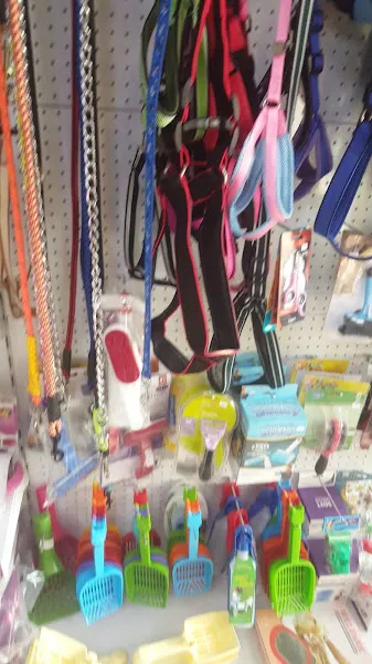 Çizmeli Kedi Petshop foto 2