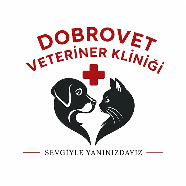 Çınarcık Dobro Veteriner Kliniği foto 2