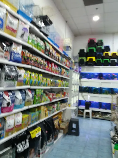 Saray Pet Club - Göksu AVM foto 2
