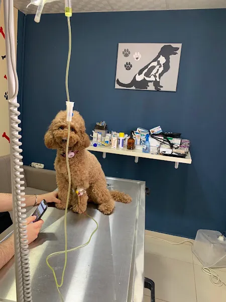 Kadirli Vetlife Veteriner Kliniği foto 2