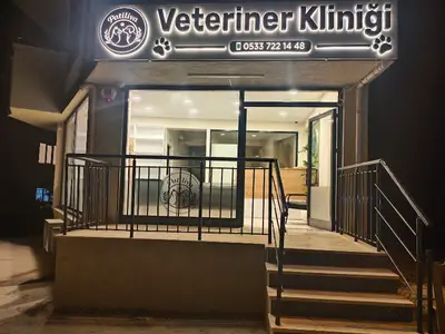 Patiliva Darıca Veteriner Kliniği