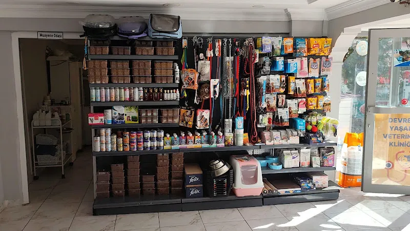 Devrek Yaşam Veteriner Kliniği foto 2