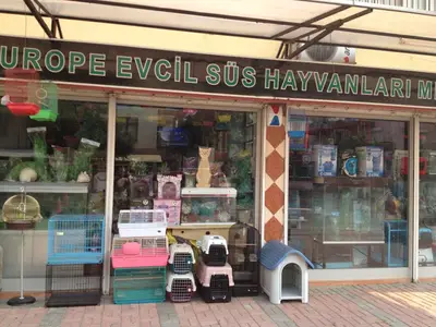 Penguen Petshop fotoğrafı