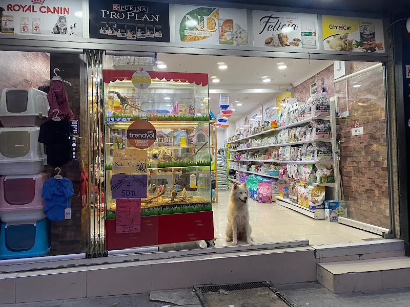 Ciner Pet Shop foto 2