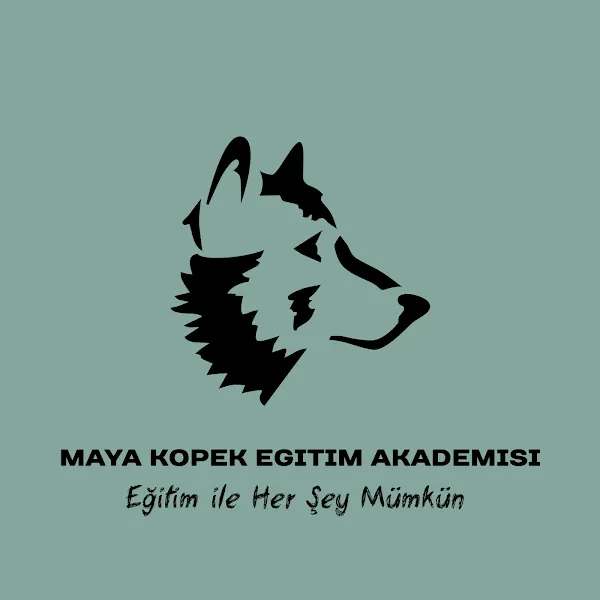 Maya Köpek Eğitim Akademisi foto 2