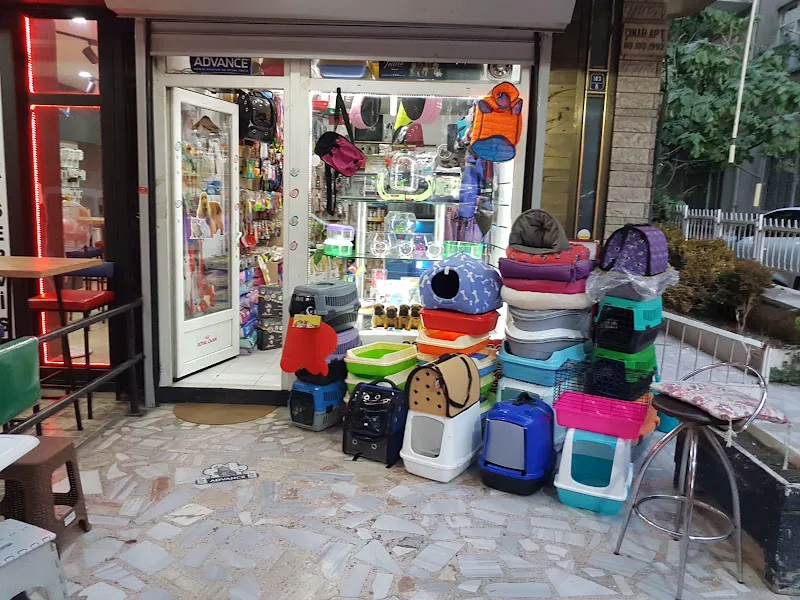 Bahçeli Can Petshop foto 2
