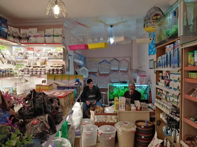 Hekimoğlu Petshop foto 2