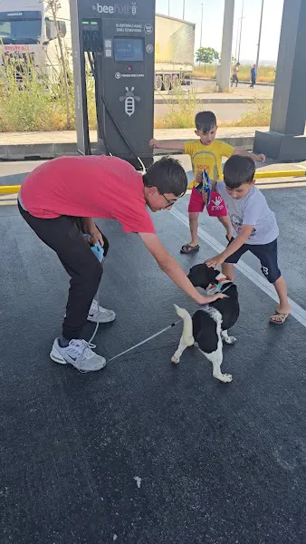 Macunköy Hayvan Barınağı foto 2