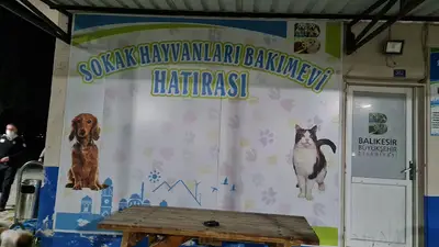 Balıkesir Sokak Hayvanları Bakımevi
