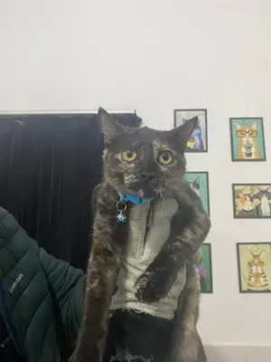 Kenan Yaman Veteriner Kliniği