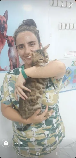 Sifa Veteriner Kliniği foto 2
