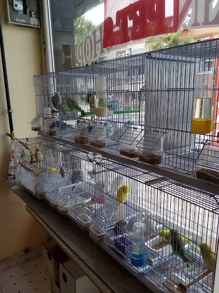Tekin Petshop foto 2