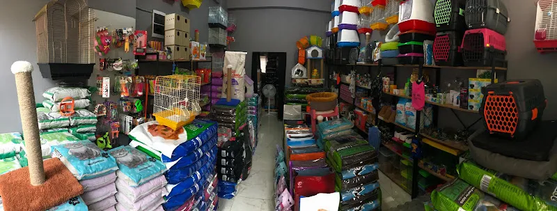 Bergama Pati Pet Shop foto 2