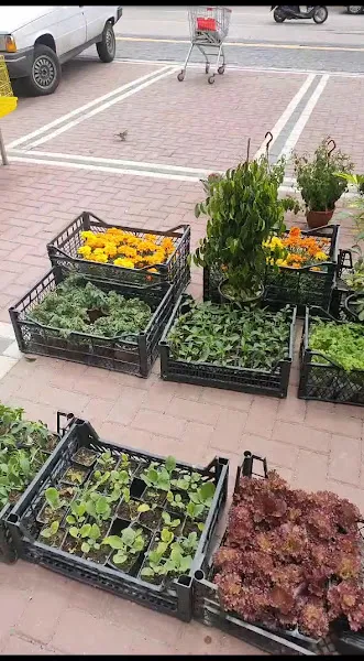Altındağ Kadife Petshop foto 2