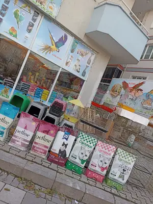 Altınel Petshop