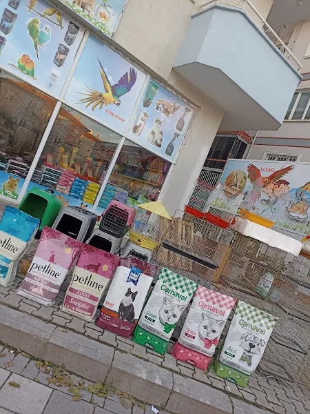 Altınel Petshop foto 1