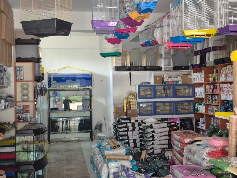 Çerkeş Petshop foto 2