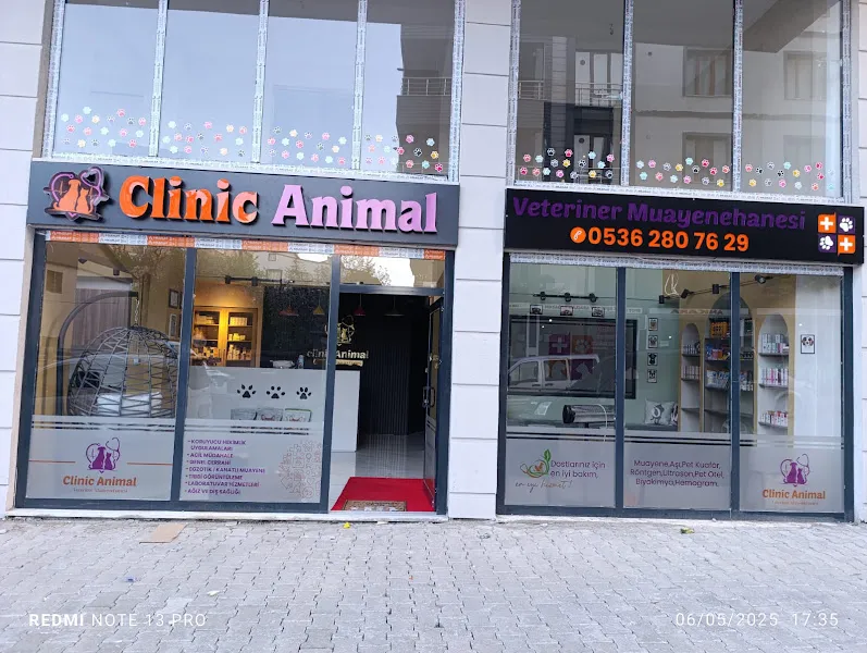 Clinic Animal Veteriner Kliniği foto 1