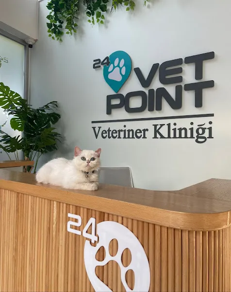 Vetpoint24 Veteriner Kliniği foto 2
