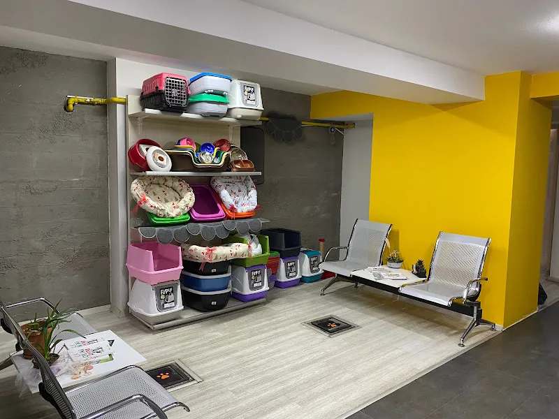 Deniz Veteriner Kliniği foto 2