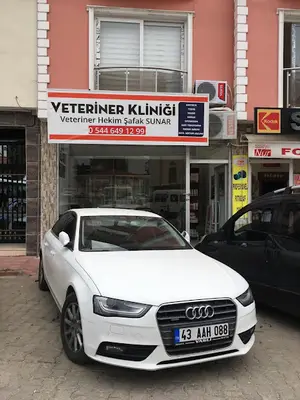 Veteriner Hekim Serkan Aksolak