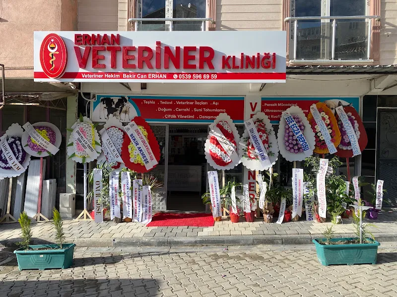 ERHAN VETERİNER KLİNİĞİ foto 1