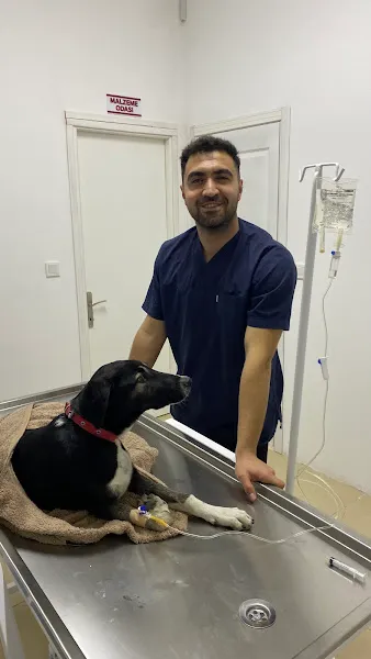 ERHAN VETERİNER KLİNİĞİ foto 2