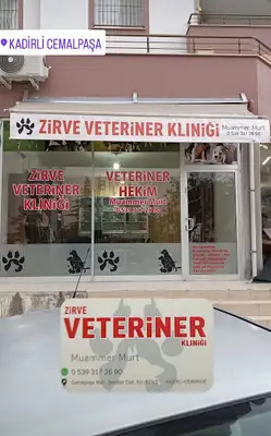 Kadirli zirve veteriner kliniği