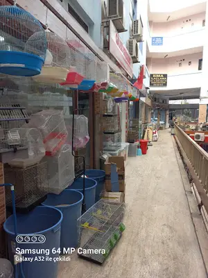 BADE PET CENTER