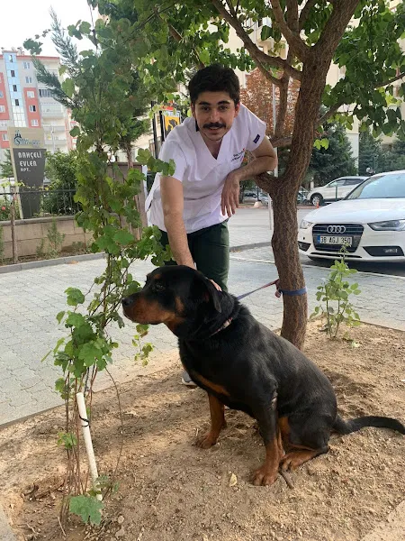 Talas Fauna Veteriner Kliniği foto 2