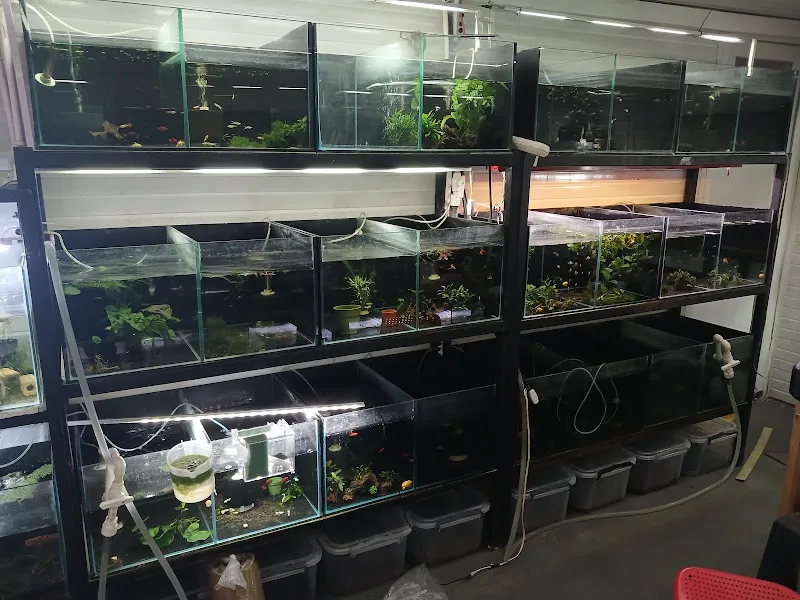Fındık petshop foto 2