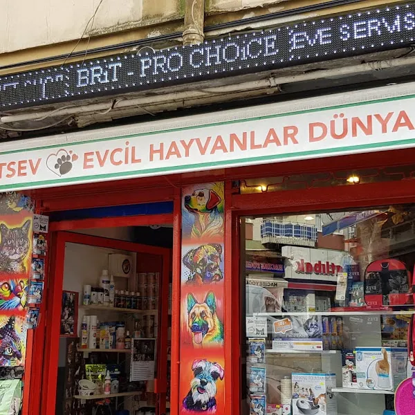 Yeldeğirmeni PETSHOP foto 1