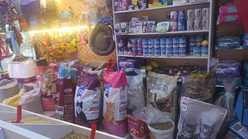 Batın petshop foto 2