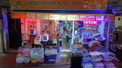 HOBBY AKVARYUM fotoğrafı